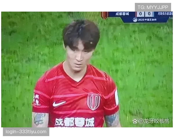 黄牌警告判罚要点:裁判认定的主要情形 黄牌警告判罚要点:裁判认定的主要情形